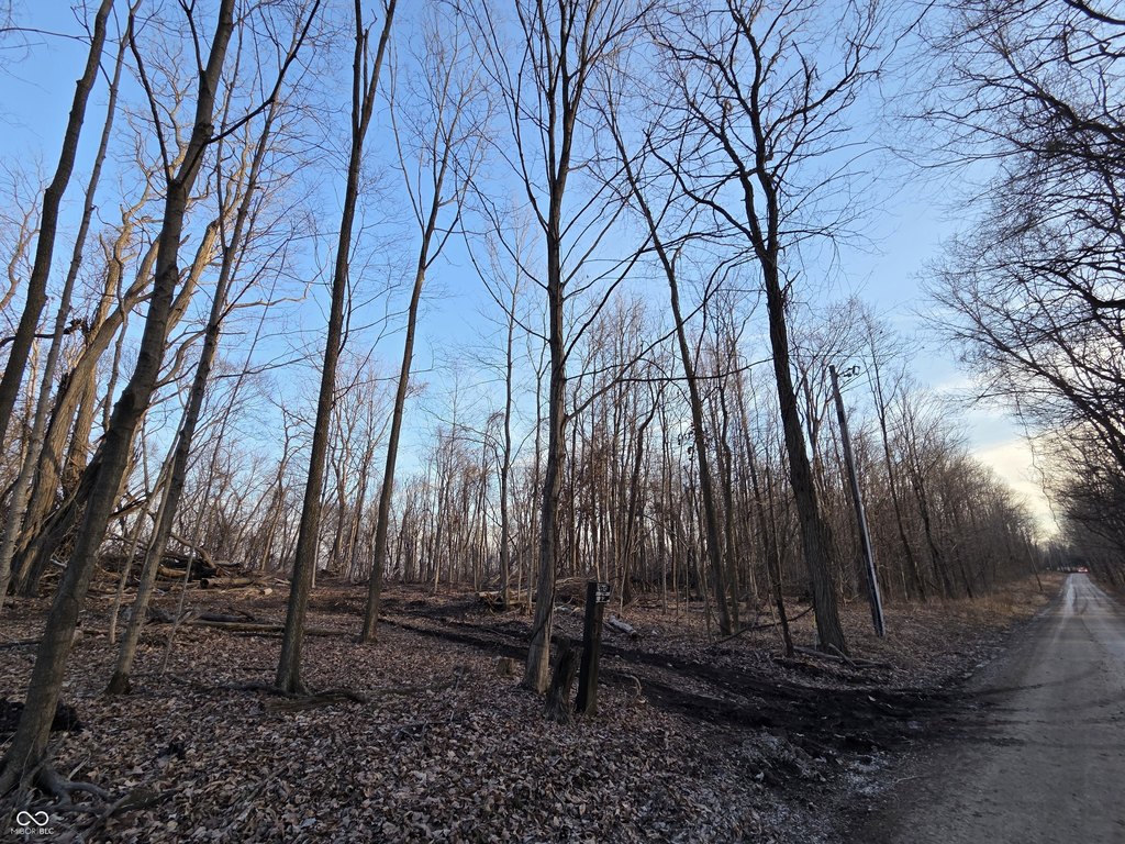 Picture 10
