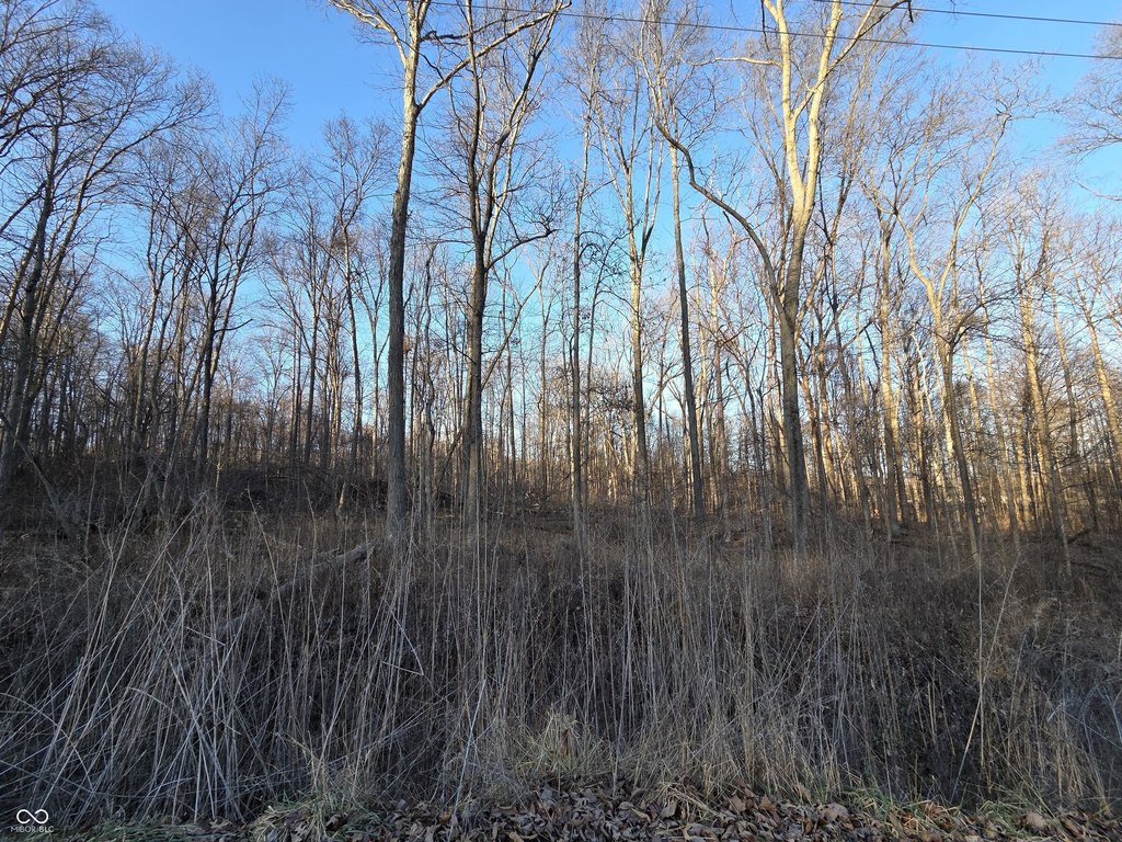 Picture 5