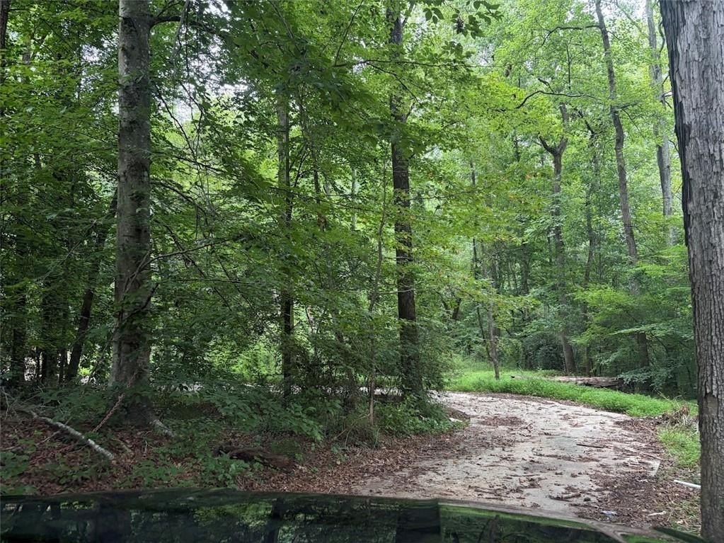 Picture 3