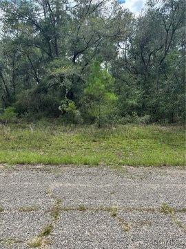 Land, Citrus Springs, FL
