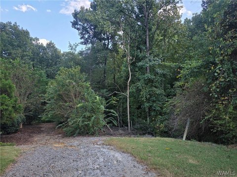 Land, Tuscaloosa, AL
