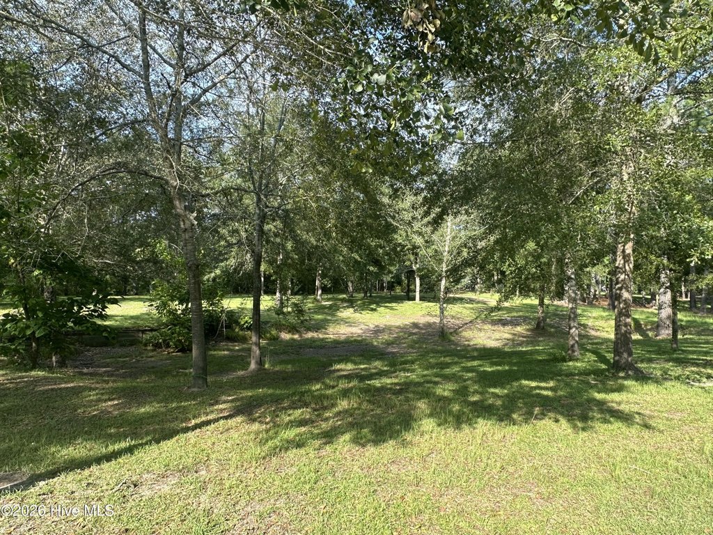 Picture 7