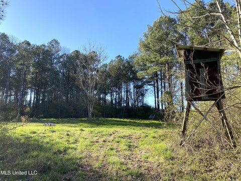 60 Acres Hunting/Investment Land