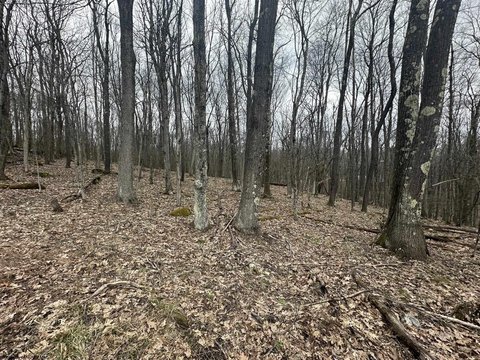 LAND - Terra Alta, WV