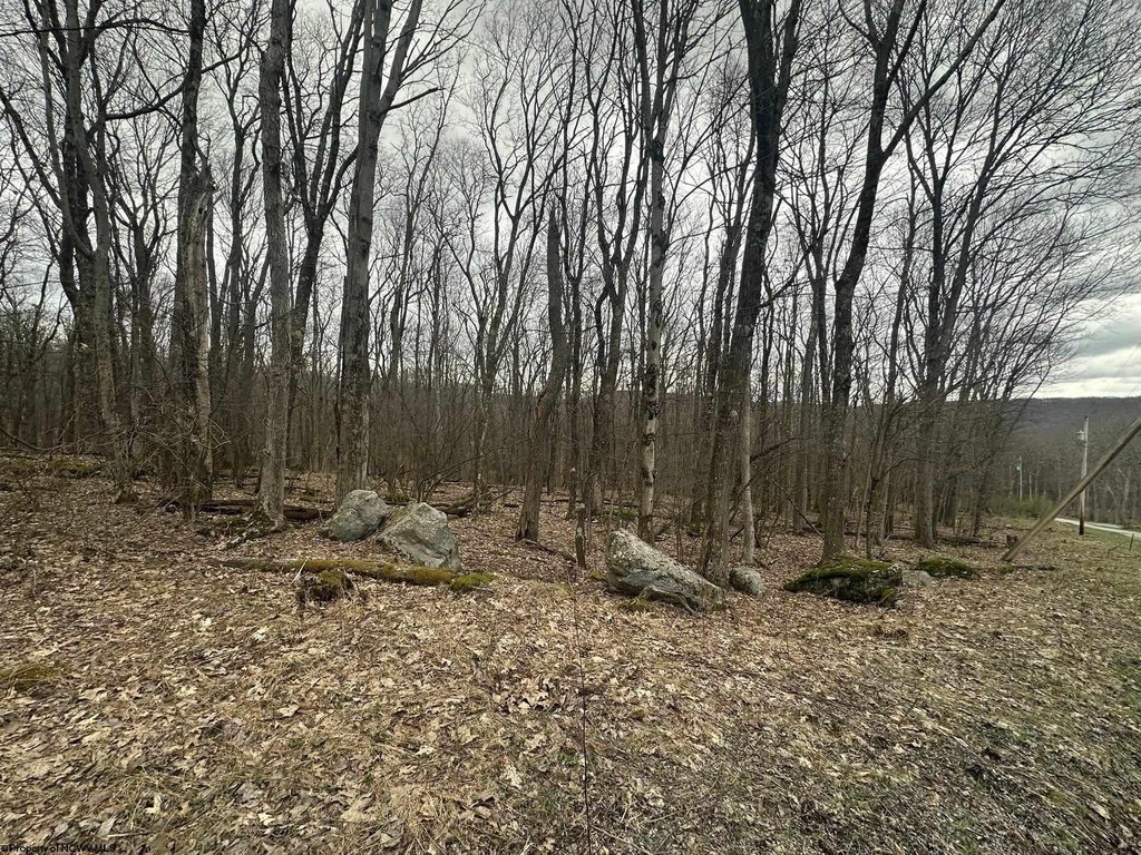 Picture 9