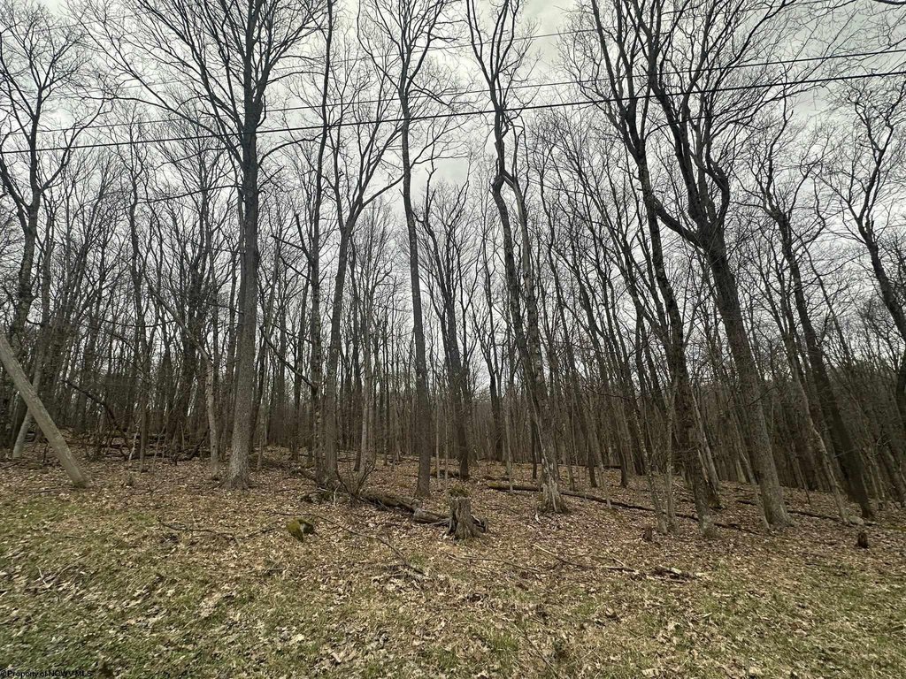 Picture 4