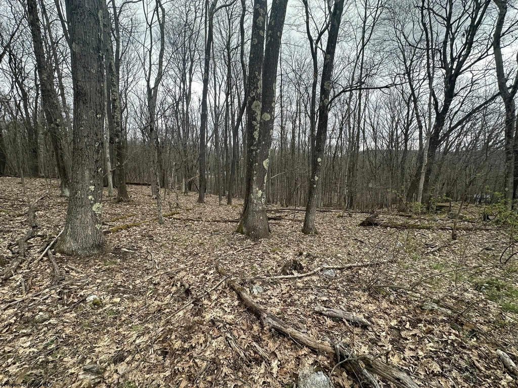 Picture 11