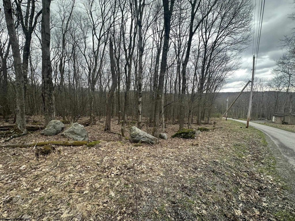 Picture 2