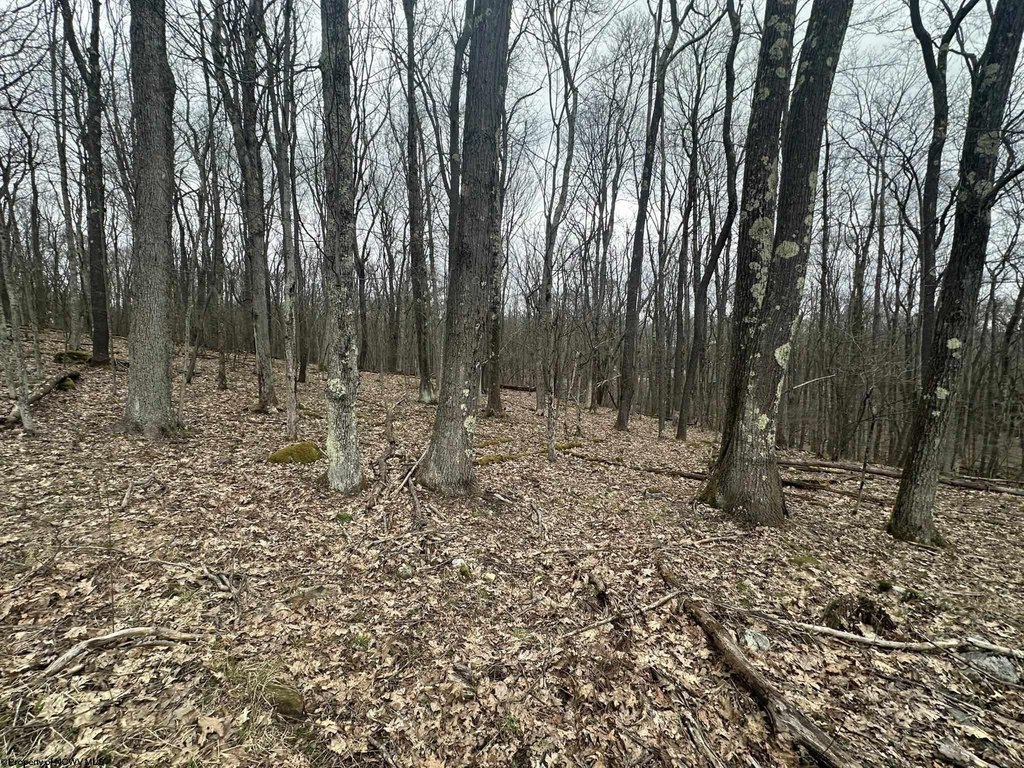 Picture 6
