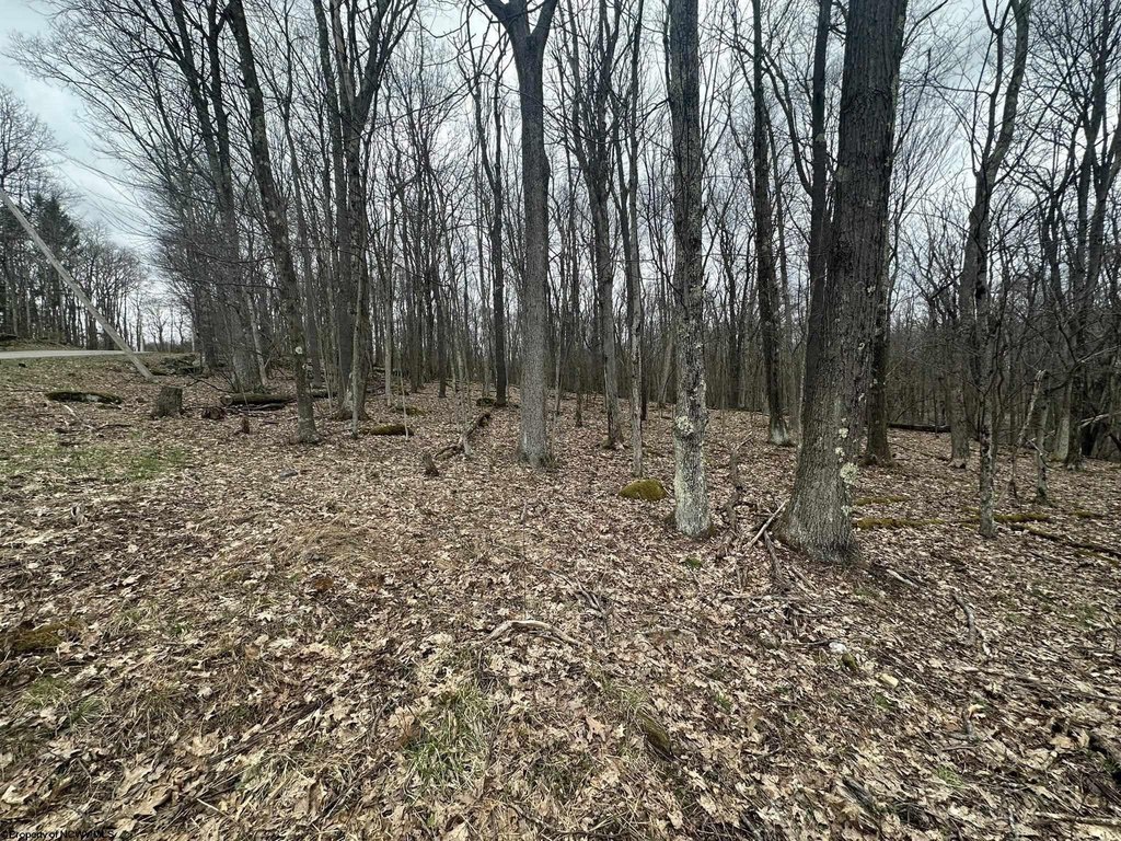 Picture 10