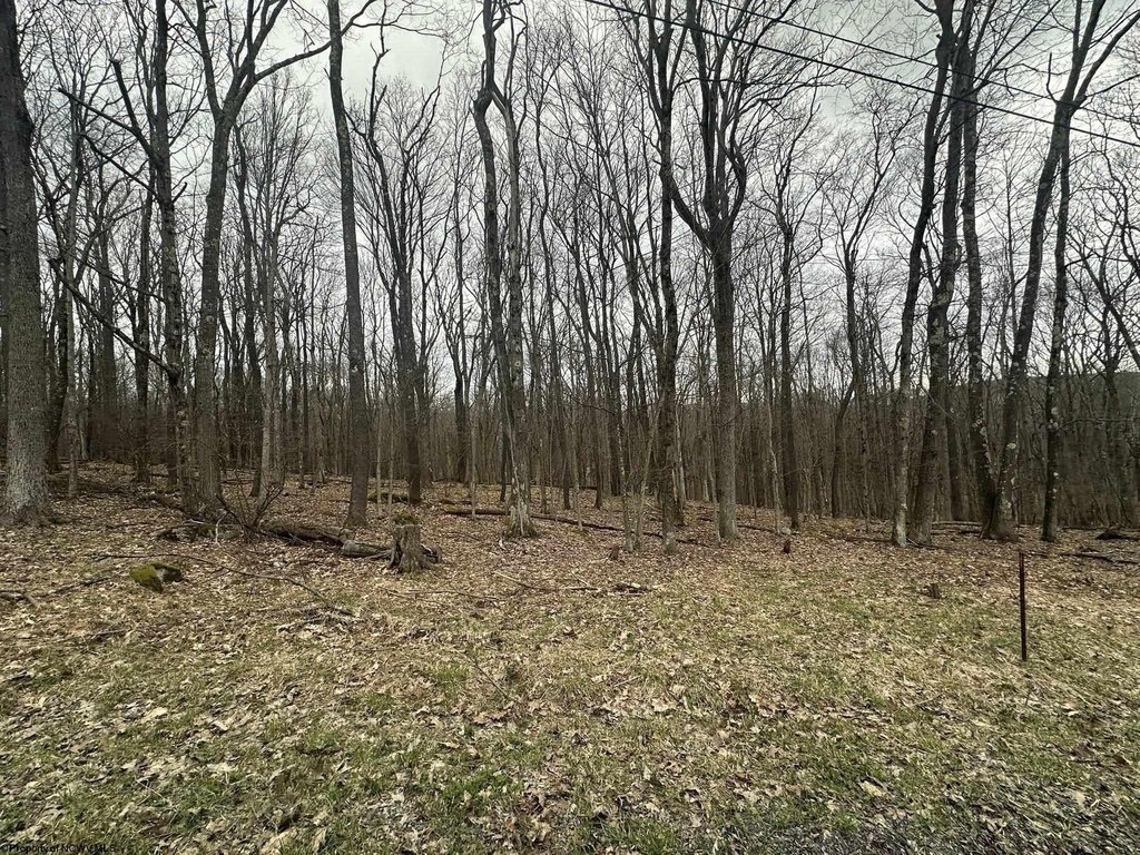 Picture 3
