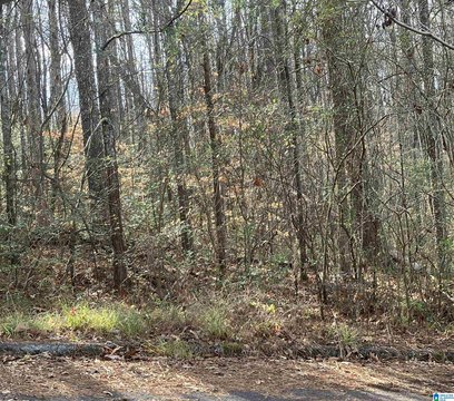 LAND - SPRINGVILLE, AL