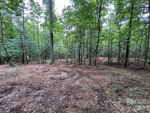 Lakefront Land with Road Frontage