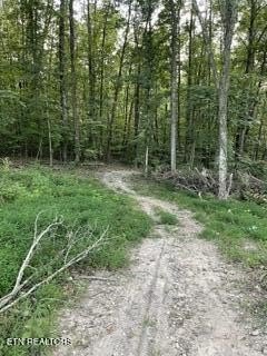 Picture 5
