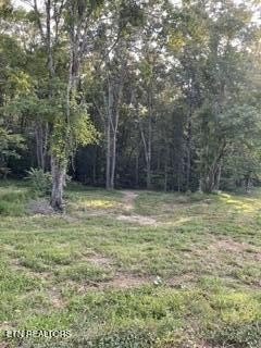 Lots & Acreage, Powell, TN