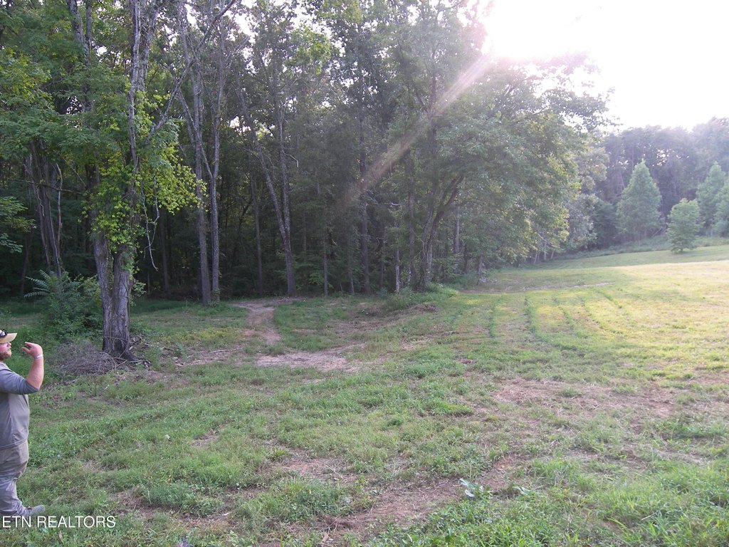 Picture 9
