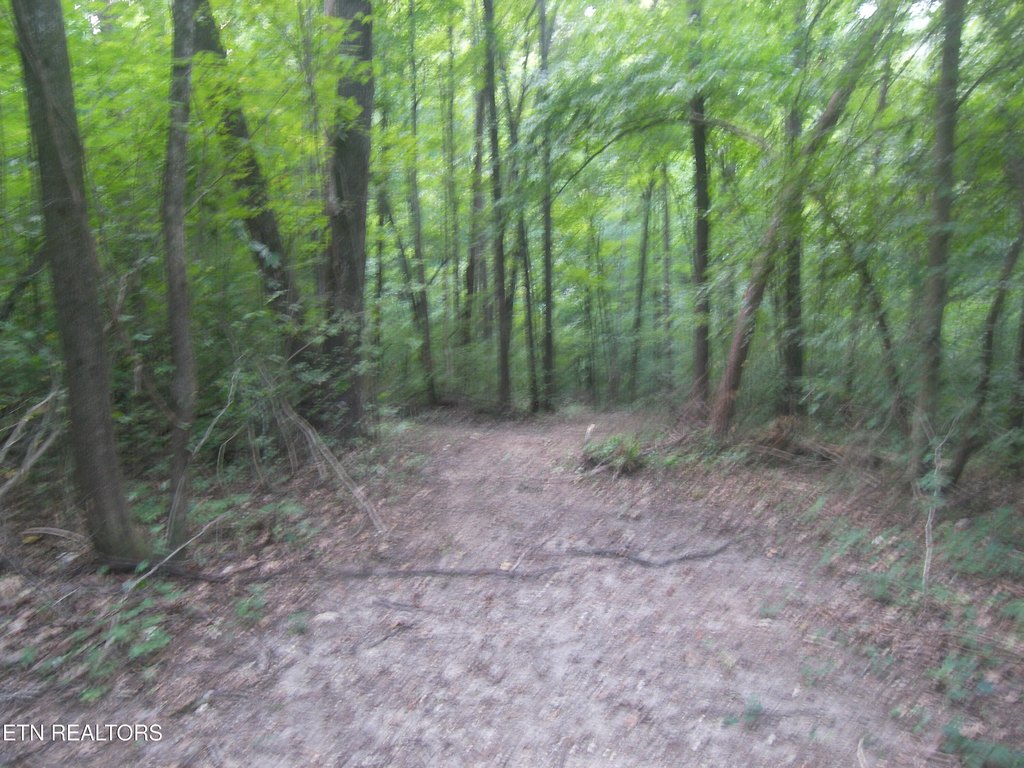 Picture 14