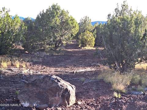 Land, Williams, AZ