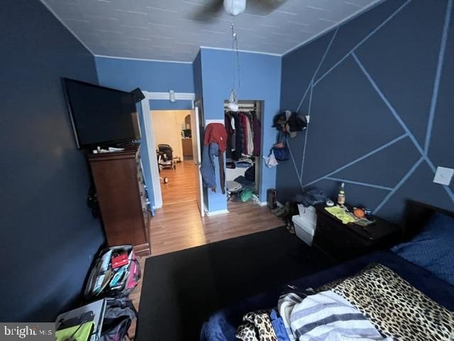 Picture 12