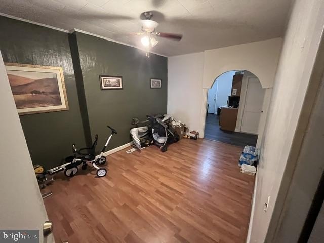 Picture 14