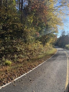 Vacant Lot, Hayesville, NC