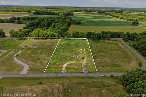 LAND - Unadilla Twp, MI
