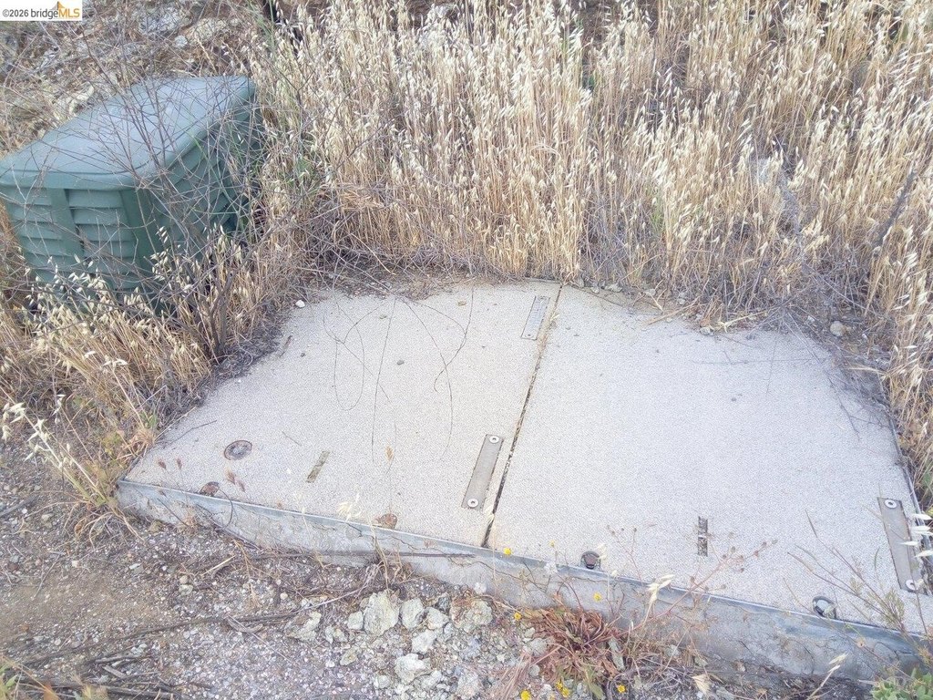 Picture 25