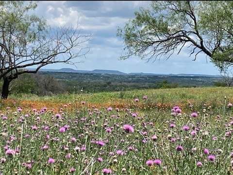 Land with Utilities in Hamilton