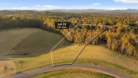 Vineyard Homesite in Talking Rock