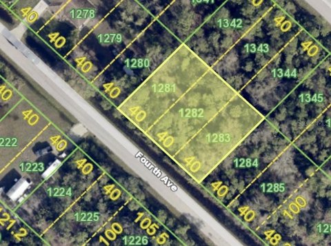 PUNTA GORDA Vacant Land