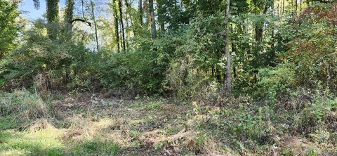 Edwardsburg Land with Lake Access