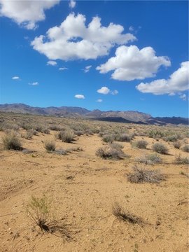 Land, Kingman, AZ