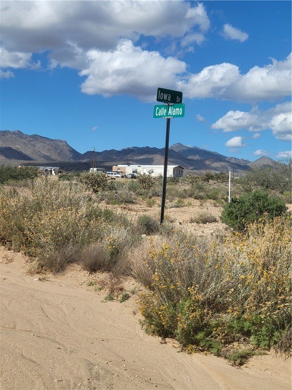 Picture 3