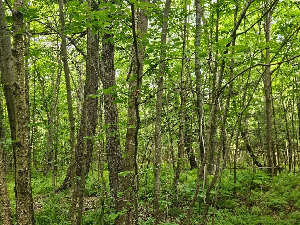 Picture 9