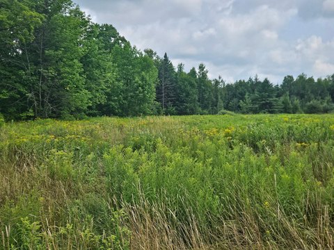 Land, Brantwood, WI