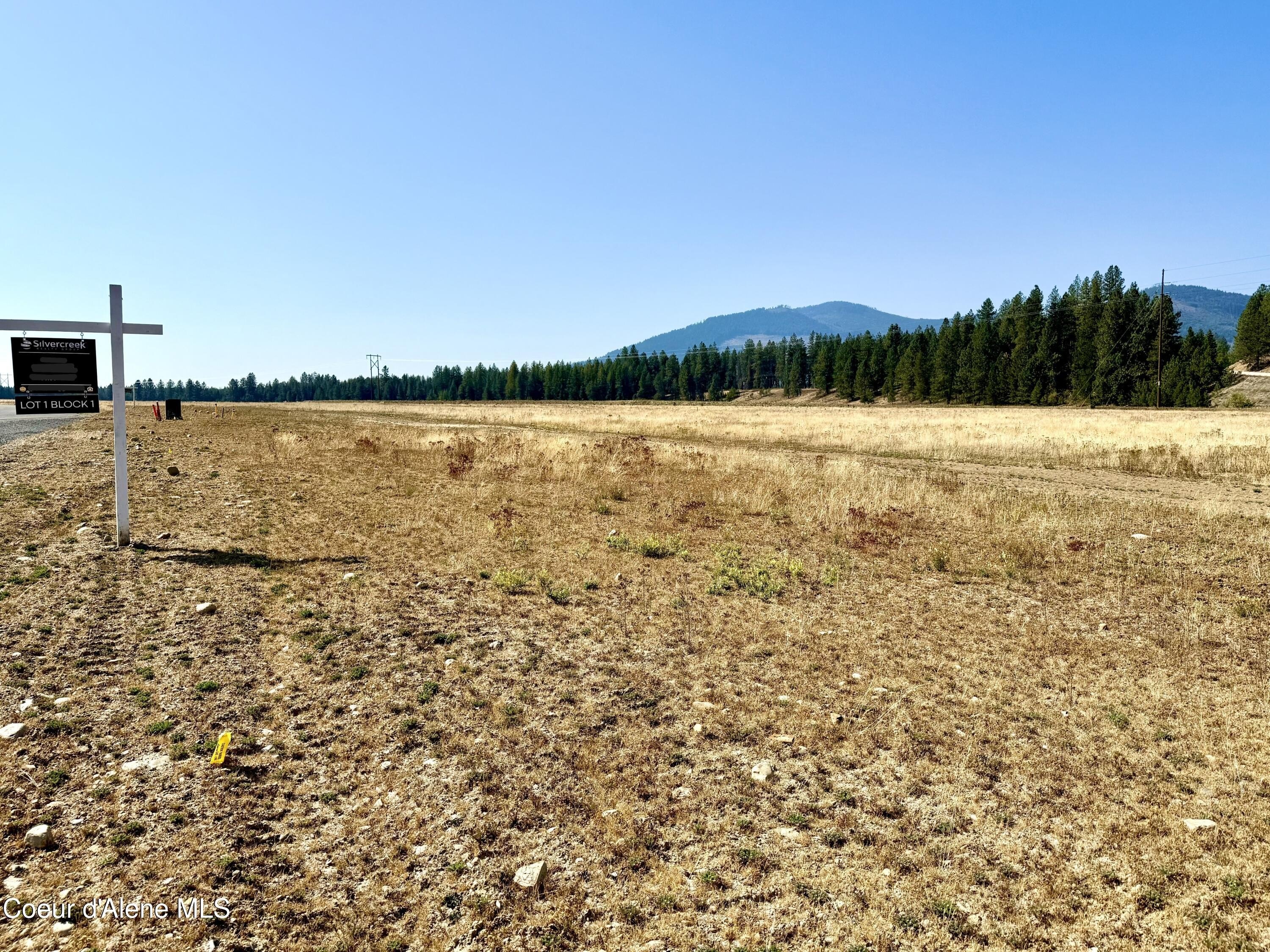 Rathdrum Land with Mountain Views
