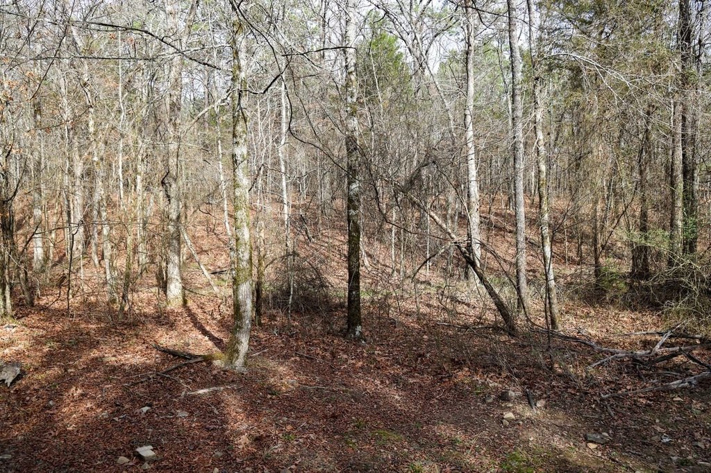 Picture 45