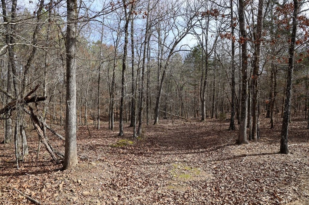 Picture 47