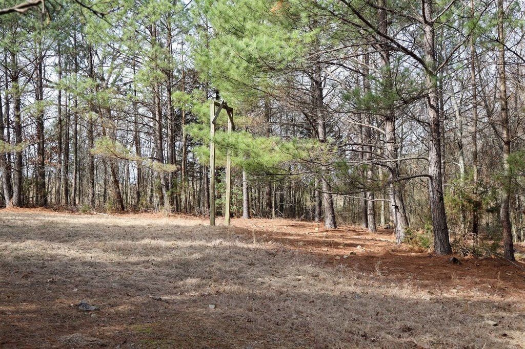 Picture 42
