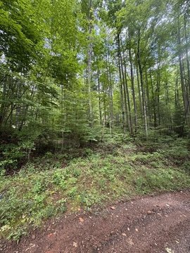 LAND - Sylva, NC