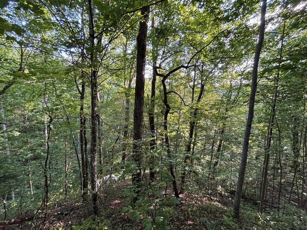 Picture 18
