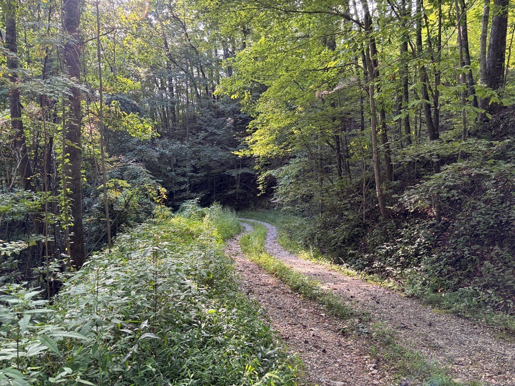 Picture 5