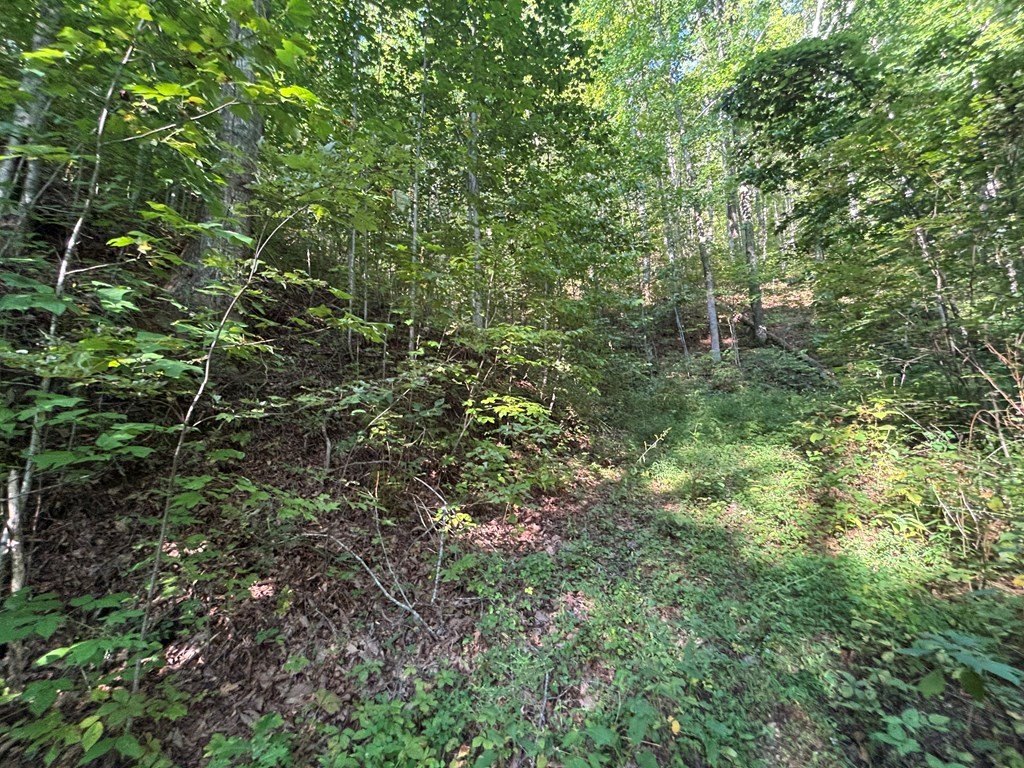 Picture 27