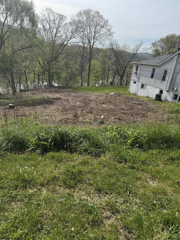 Picture 13