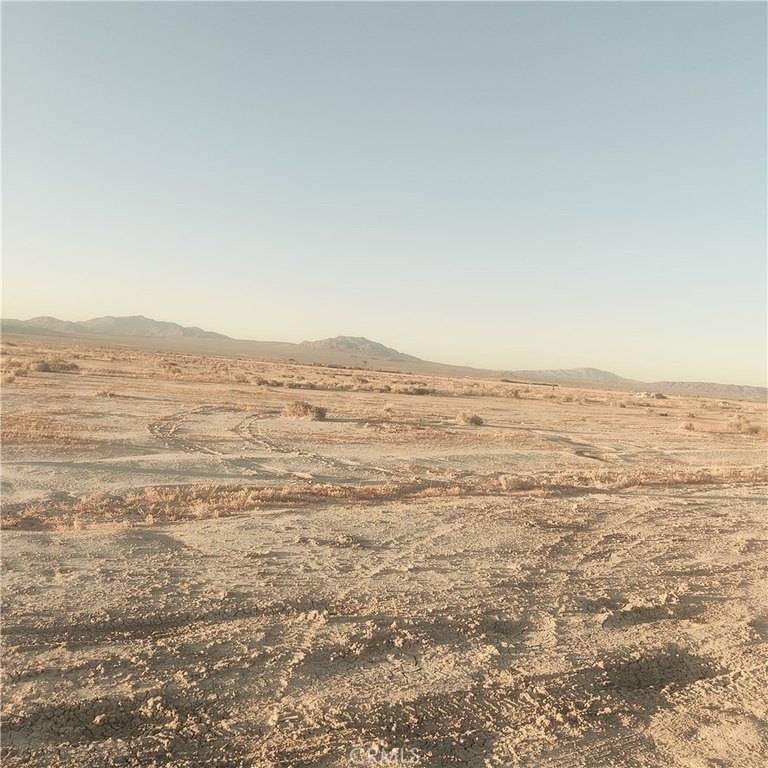 Picture 4