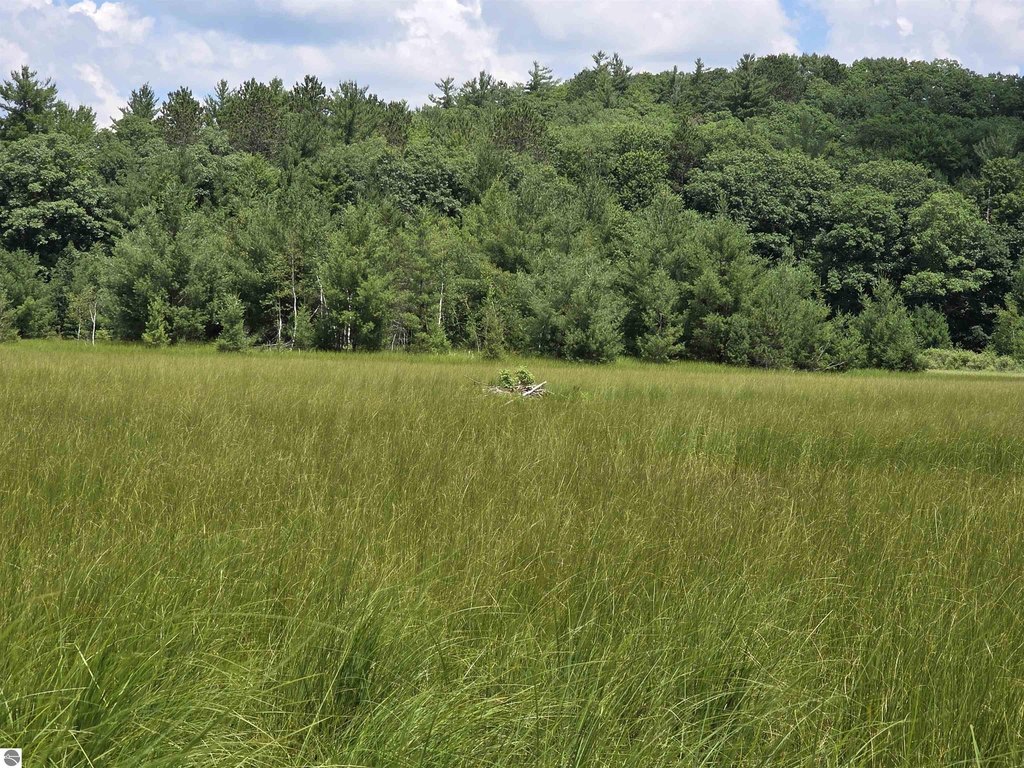 Picture 33