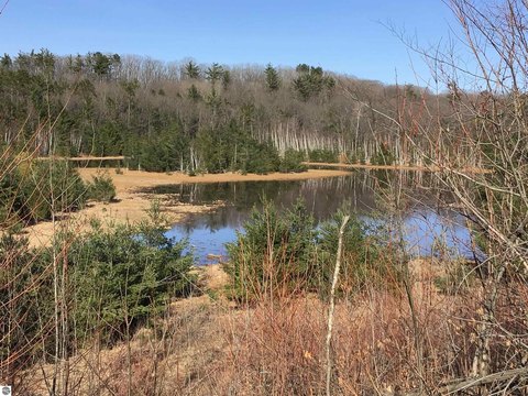 Recreational Hunting Land Tract