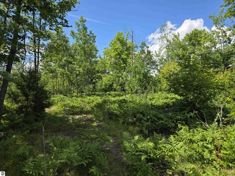 Recreational Hunting Land Tract
