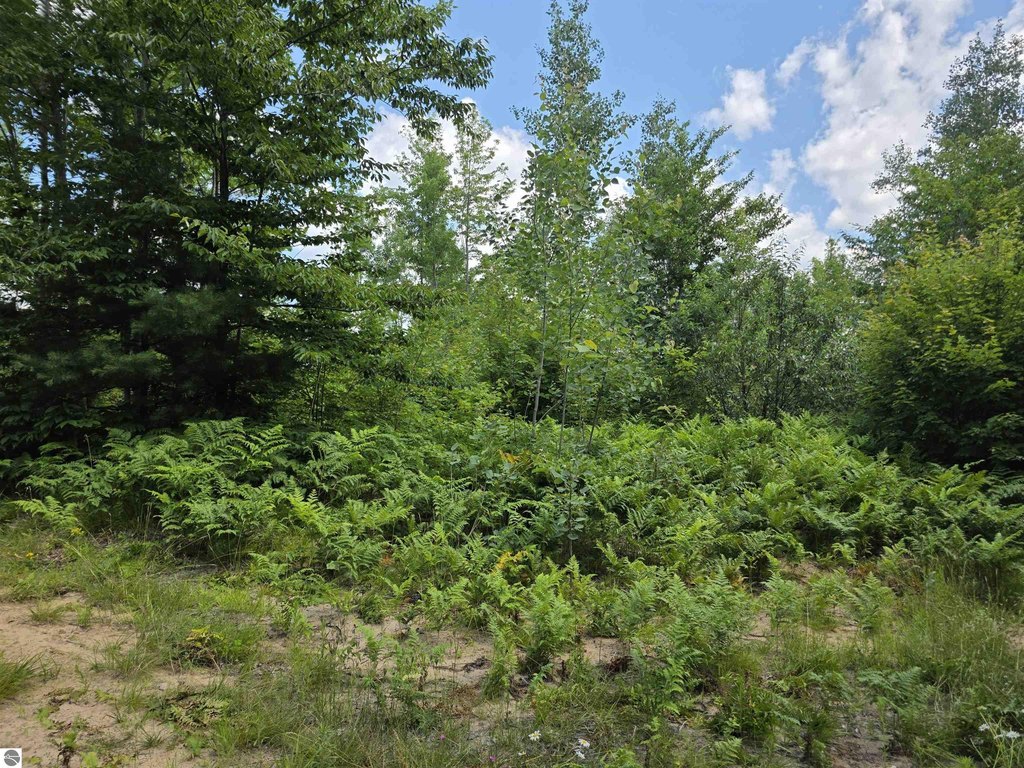 Picture 19