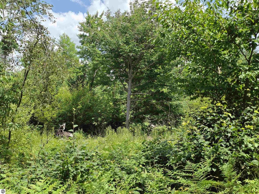 Picture 29